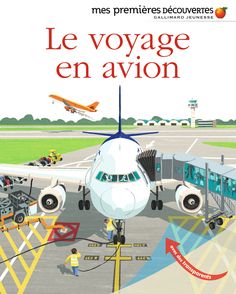 Le voyage en avion - Vincent Desplanche