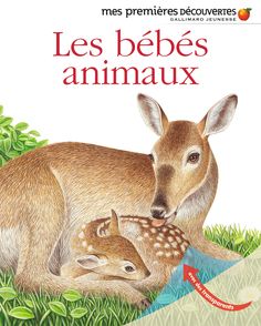 Les bébés animaux -  un collectif d'illustrateurs