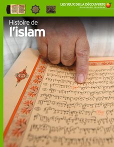 Histoire de l'islam - Philip Wilkinson