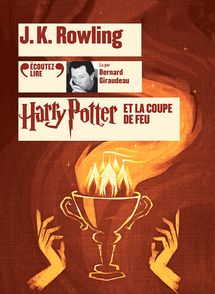 Coffret Harry Potter 25 ans (poche) - 3 Reliques Harry Potter