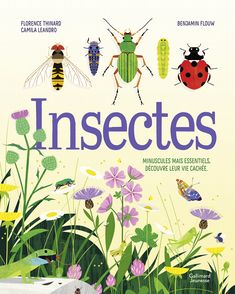 Insectes - Benjamin Flouw, Camila Leandro, Florence Thinard