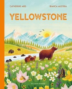 Yellowstone - Cath Ard