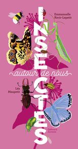 Insectes autour de nous - Emmanuelle Kecir-Lepetit