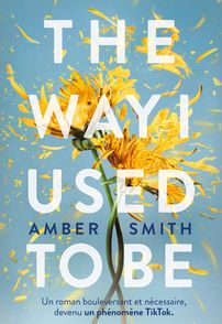 The Way I Used to be - Amber Smith
