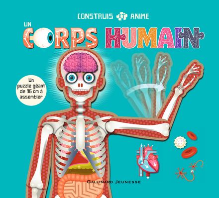 Construis et anime un corps humain - Anita Ganieri, Mark Ruffle