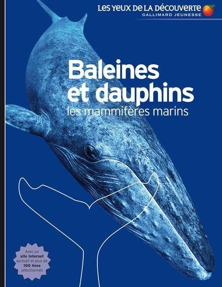 Baleines et dauphins - Vassili Papastavrou