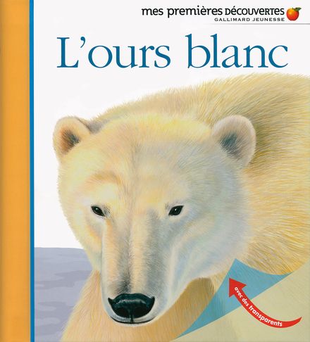 L'ours blanc - Laura Bour