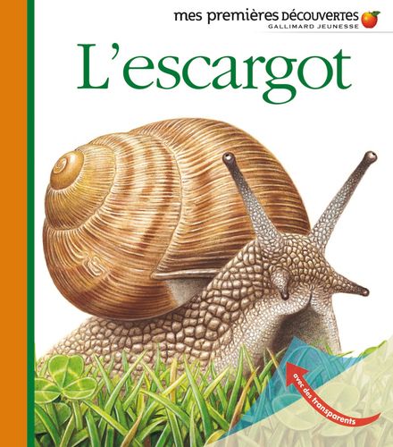 L'escargot - Pierre de Hugo