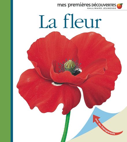 La fleur - René Mettler