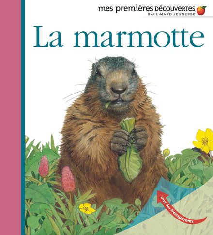 La marmotte - Sylvaine Peyrols