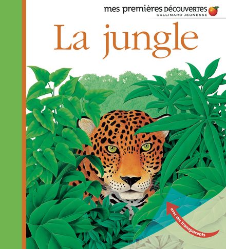 La jungle - René Mettler