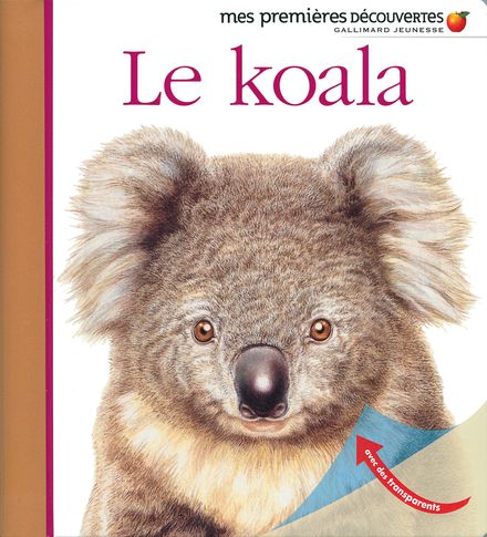 Le koala - Ute Fuhr