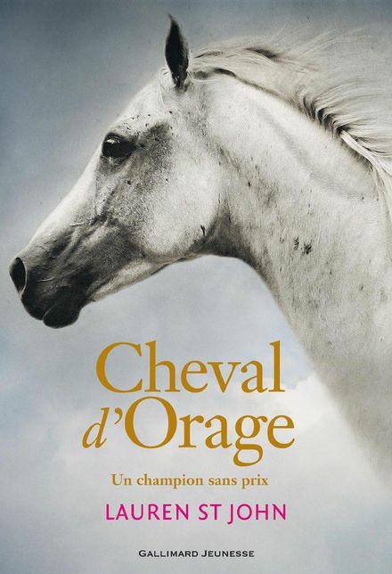 Romans Cheval d'Orage, tome 1, Grand format littérature