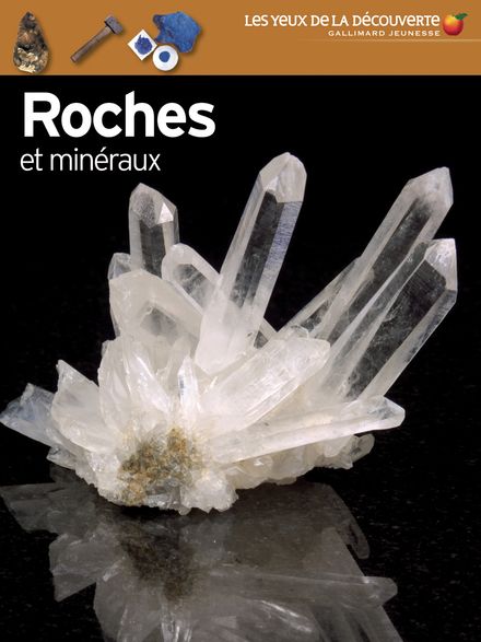 Roches et minéraux - R.F. Symes