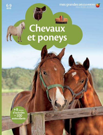 Chevaux et poneys - 