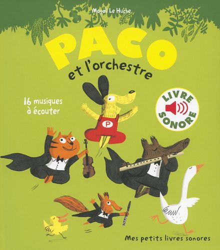 Paco et l'orchestre - Magali Le Huche