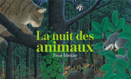 La nuit des animaux - René Mettler