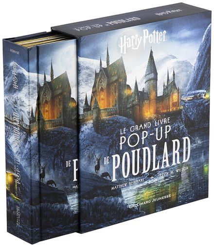 Livres illustrés Le grand livre pop-up de Poudlard, Hors Série Harry Potter