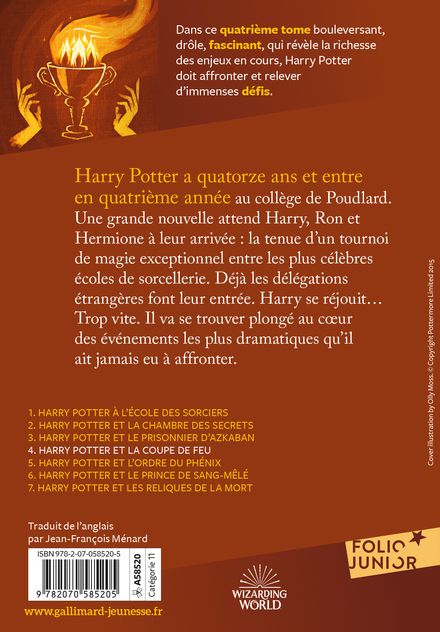 Edition Serpentard 20 ans Harry Potter et la Coupe de Feu
