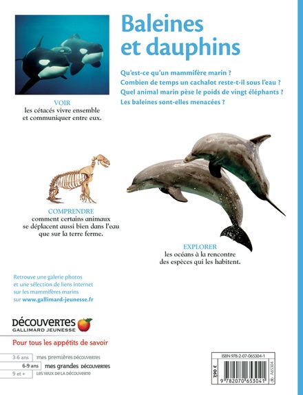 Baleines et dauphins - 
