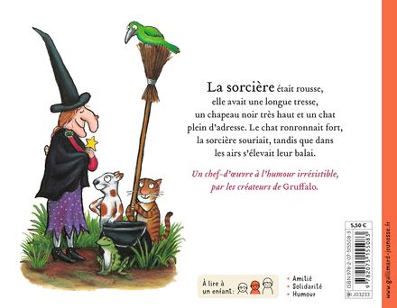 Affiche Harry Potter Le balai - La French Touch