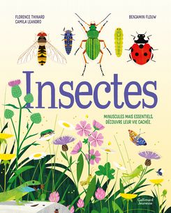 Insectes - Benjamin Flouw, Camila Leandro, Florence Thinard